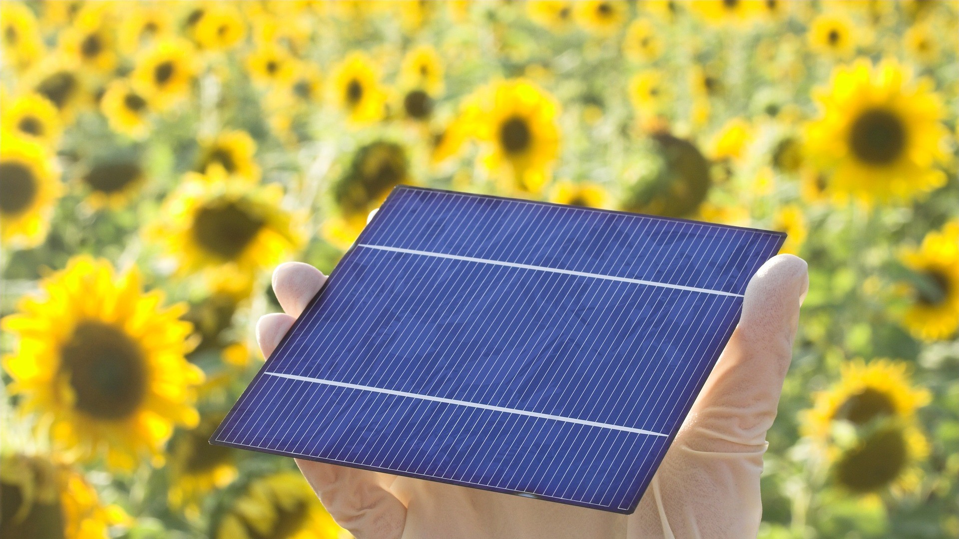 marburg-erstrahlt-im-sonnenlicht-der-aufstieg-zur-solar-metropole